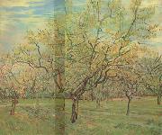 Vincent Van Gogh The White Orchard (nn04) oil painting